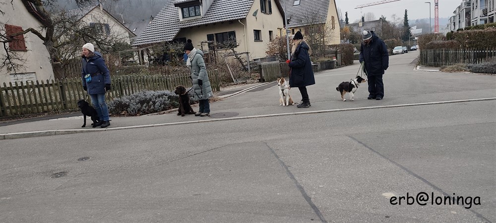 JUHU im Quartier - Strassenüberquerung